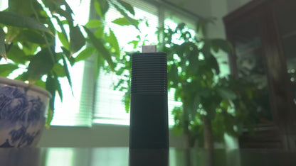 Tv Stick 196 D1
